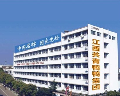 江西共青城新鴨鴨集團